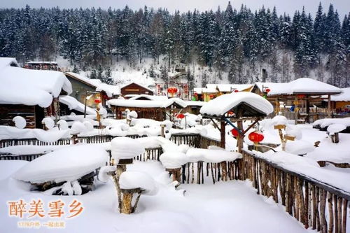 多期成行 哈尔滨 亚布力滑雪 雪乡穿越 长白山 雾凇岛 吉林 7天畅游