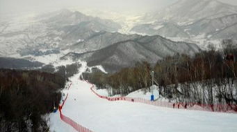 哈尔滨 亚布力 雪乡 长白山 万科滑雪双飞6日游 全程无购物