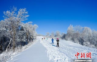 中国北疆连迎强降雪 滑友抢抓春季 雪尾巴
