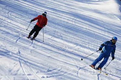 “亚布力阳光”三山联网贯通丨雪友畅滑冠军道