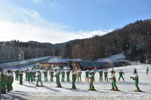 来呀 滑雪呀