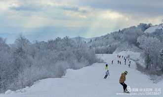 亚布力阳光滑雪场首滑 在三锅山顶沐浴阳光，释放蓬勃朝气