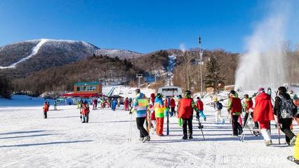 冬天来雪乡撒个野 哈尔滨亚布力雪乡6天爽玩攻略