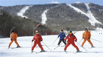 冬日童话之旅 哈尔滨雪乡包车二日游与亚布力滑雪度假村体验